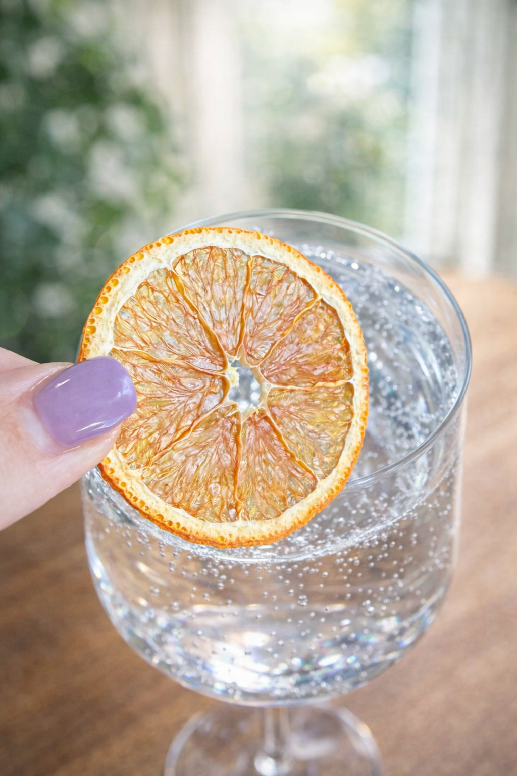 Premium Dried Orange Slices