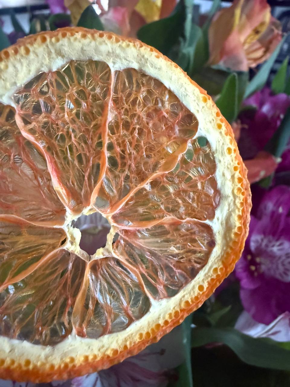 Premium Dried Orange Slices